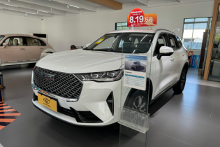 White Haval SUV in showroom, front view with large grille, yellow license plate, red $919 price tag and green plants.